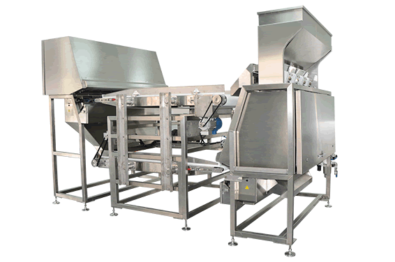 LDS Dòng Color Sorter