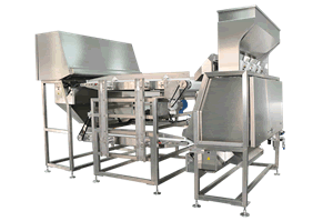 LDS Dòng Color Sorter